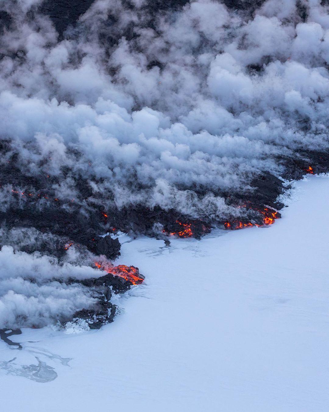 单人森林冰火人_单人森林冰火人怎么打_单机森林冰火人游戏