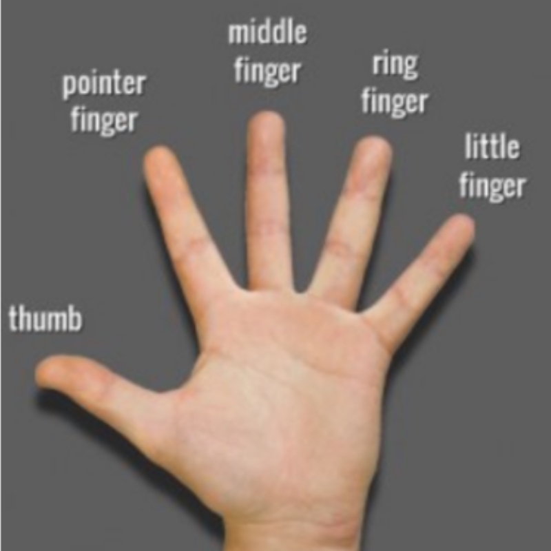 儿童英语手指游戏：玩转英语乐趣