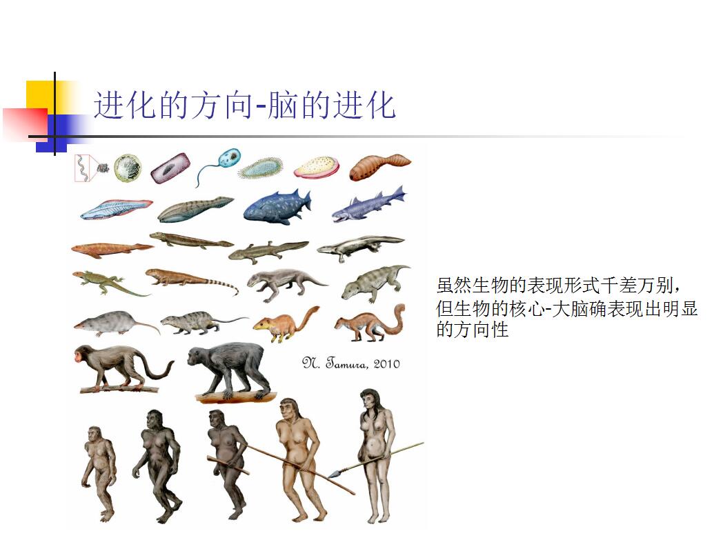 进化类游戏单机手机版_单机手机解密类游戏_吊长游戏cf手机版单机