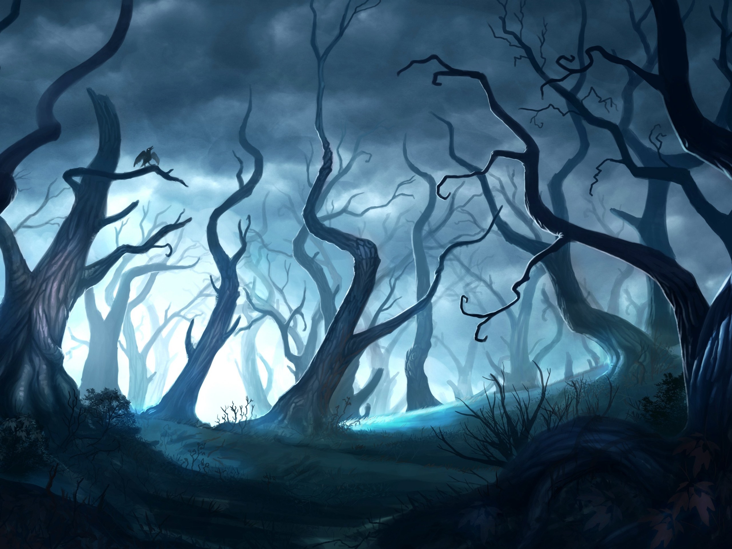 迷幻魔法森林，树散迷人光芒