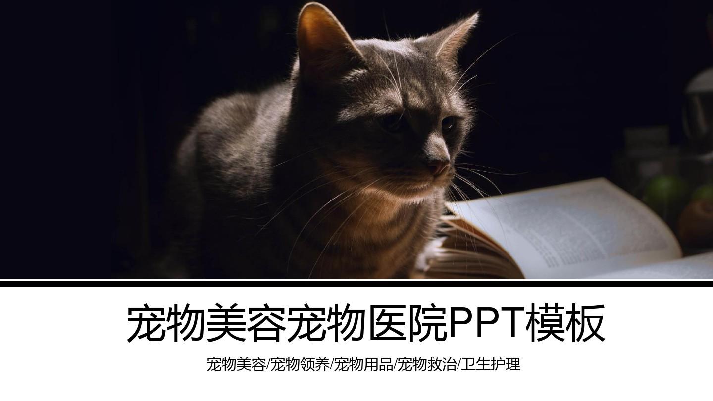 加菲猫宠物医院_加菲猫宠物医院无限金币_加菲宠物门诊