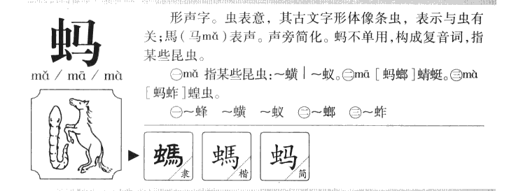 读音蚂蚁正确的是_piao读音写出正确的字_蚂蚁的正确读音