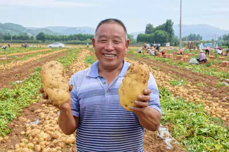 下载土豆app，农民的营养宝藏