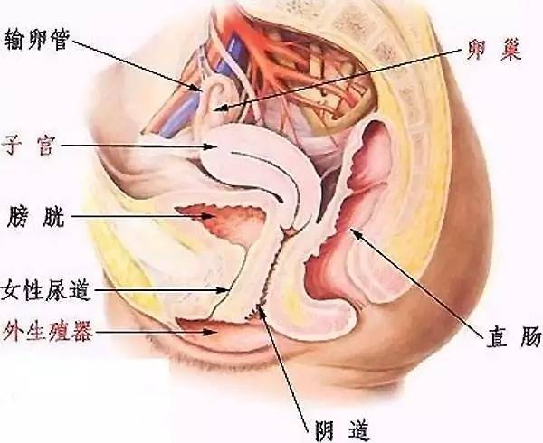 阴体_阴体_阴体