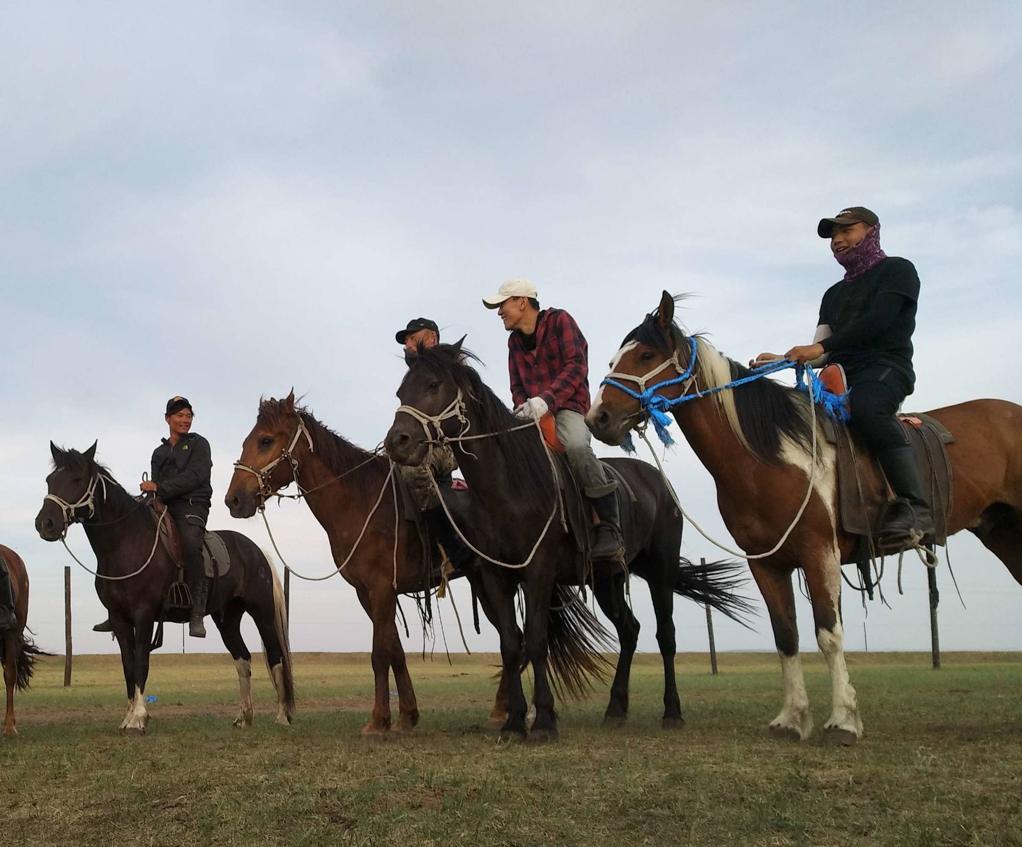 找出十匹马-十匹马的寻觅：解密马匹的奇幻之旅