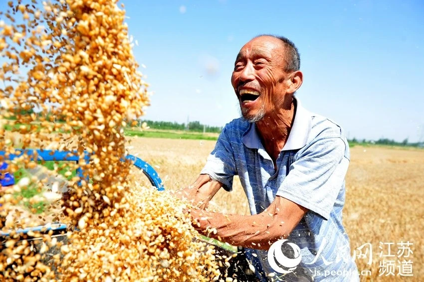 腾讯种菜手机游戏：小麦丰收季，农场主的收割之旅