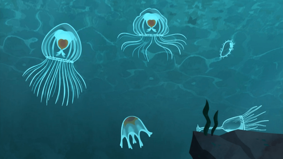 拥抱海洋的温柔乐园，养水母治愈游戏下载手机版