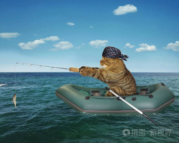 下载小猫钓鱼手机版游戏-小猫钓鱼手机版游戏：忘却烦忧的乐园