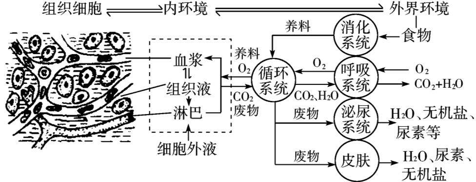 重生细胞手游最新版本_手机重生细胞游戏_重生细胞手机版