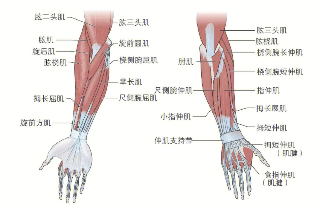 玩手机打游戏手腕疼怎么办-手游成瘾手腕疼痛怎么办？专家支招教你缓解