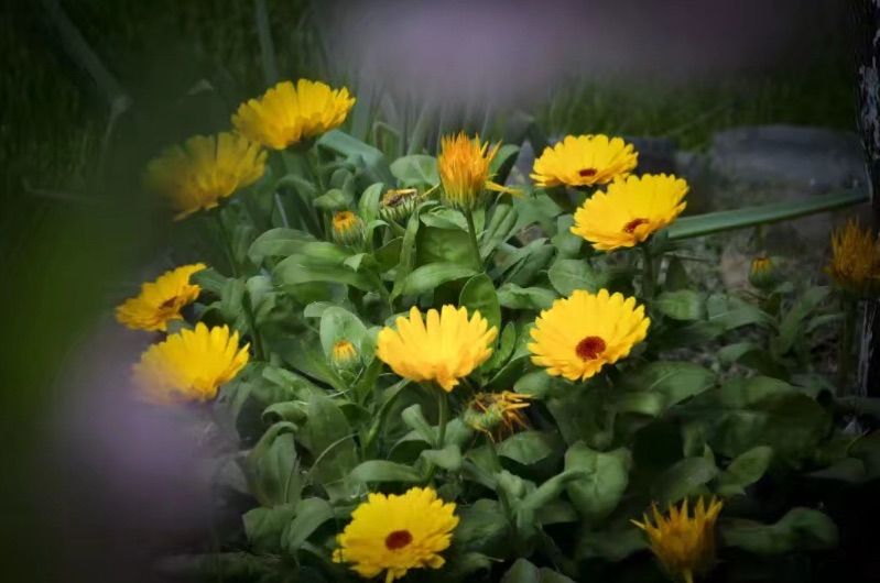 节日月饼_6月20日什么节日_节日月份英语