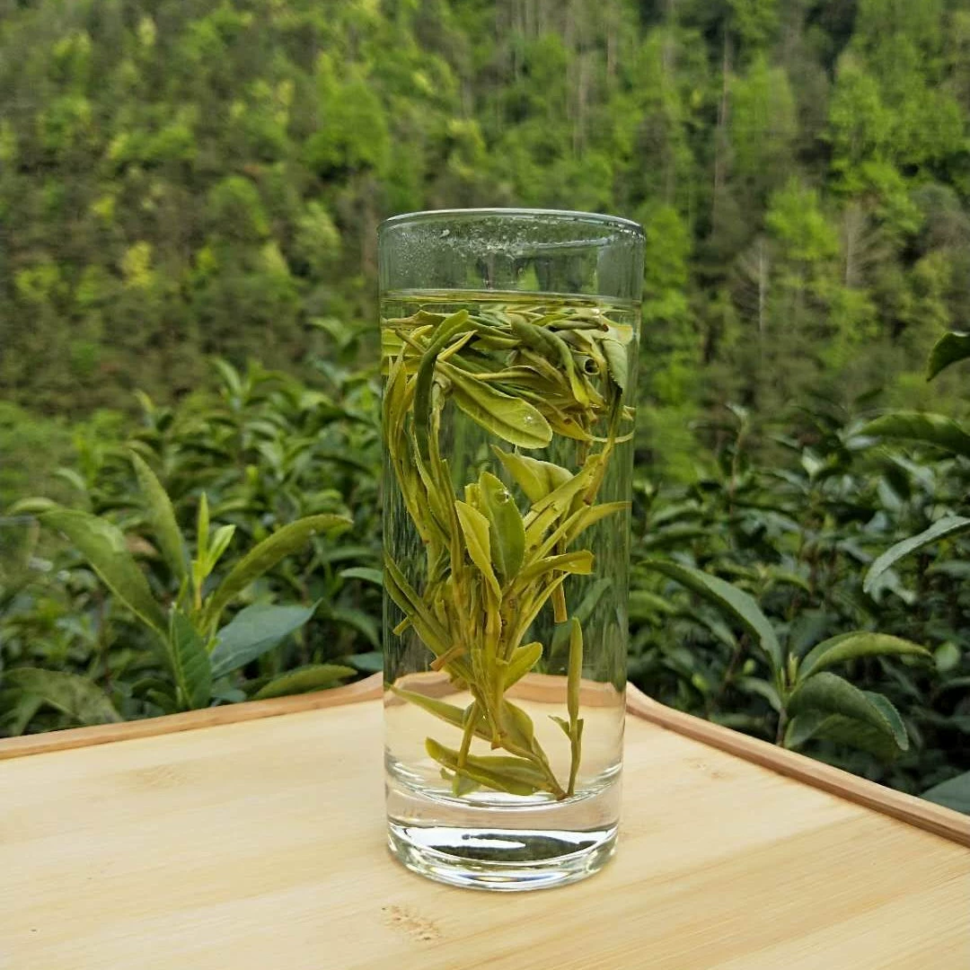 浅井茶茶_浅井茶茶_浅井茶茶