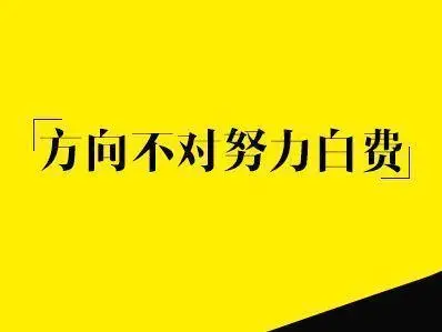 爱与牺牲：为何人们选择同归于尽？