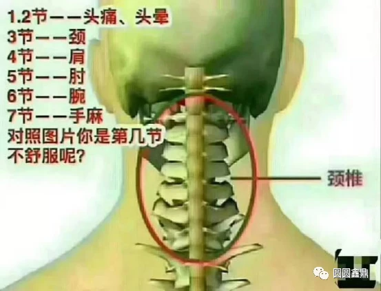 双开游戏app_双开游戏对手机的损伤_游戏双开的软件推荐一个