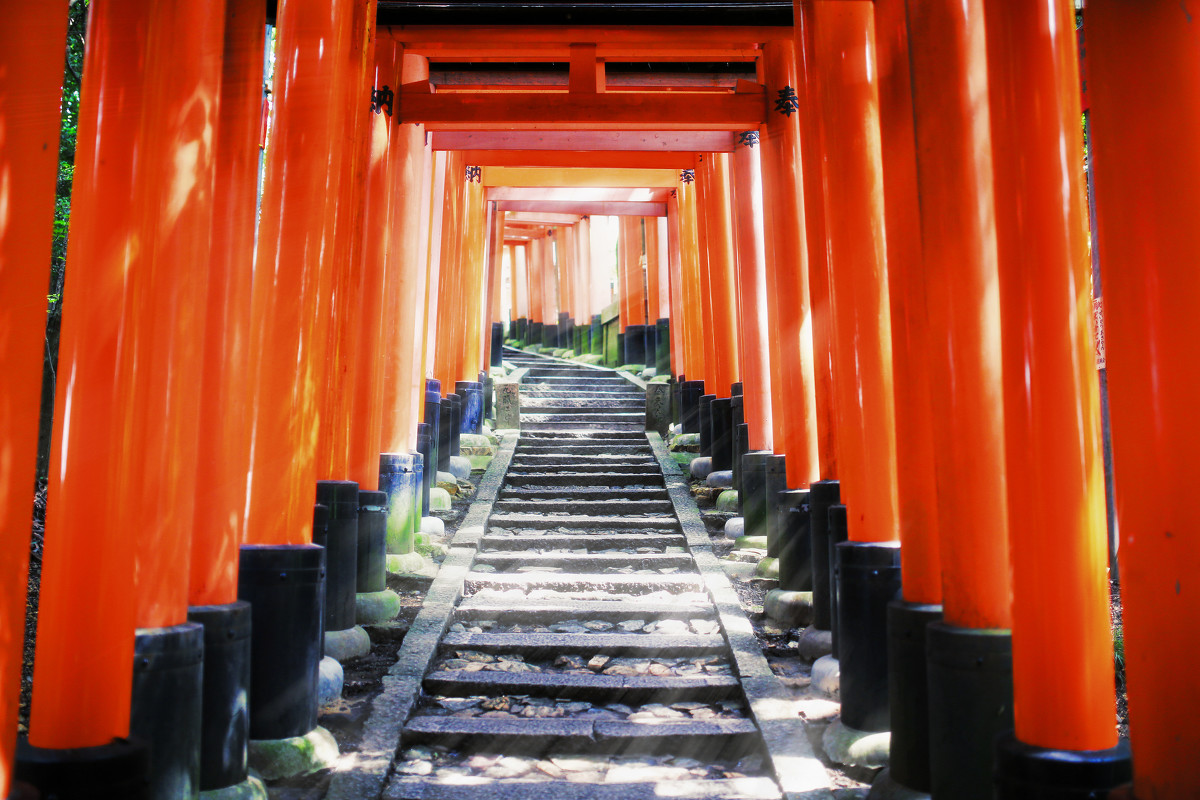 稻妻地灵龛分布图-稻妻地灵龛：京都神秘之旅