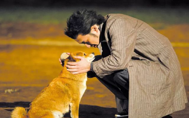 忠犬八公电影在线观看-忠犬八公：一只狗的忠诚，一段动人情谊