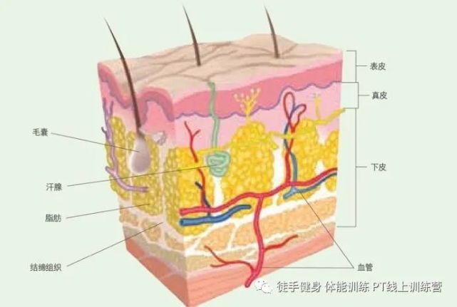 玩手机打游戏手抖怎么回事_手抖和玩游戏有关系吗_回事玩手抖打手机游戏怎么办