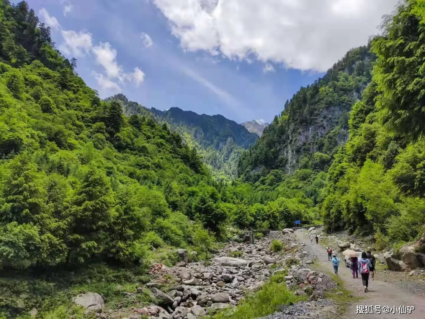 南京花山薰：历史与自然交相辉映，散步登山体验不容错过