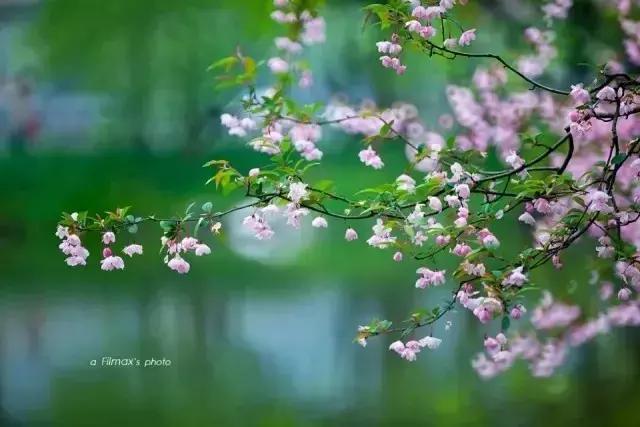 泪如雨下歌词抖音_我泪如雨下是哪首歌的歌词_歌词泪如雨下查歌名