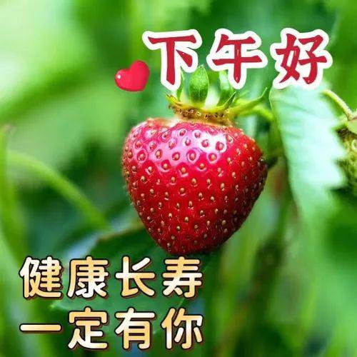 取名动物手机游戏用什么好_取名动物手机游戏用什么名字_用动物取名的手机游戏