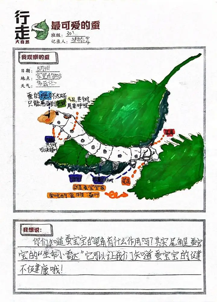 四年级小孩玩手机游戏_年级小孩玩手机游戏好吗_小学生玩手机游戏怎么办