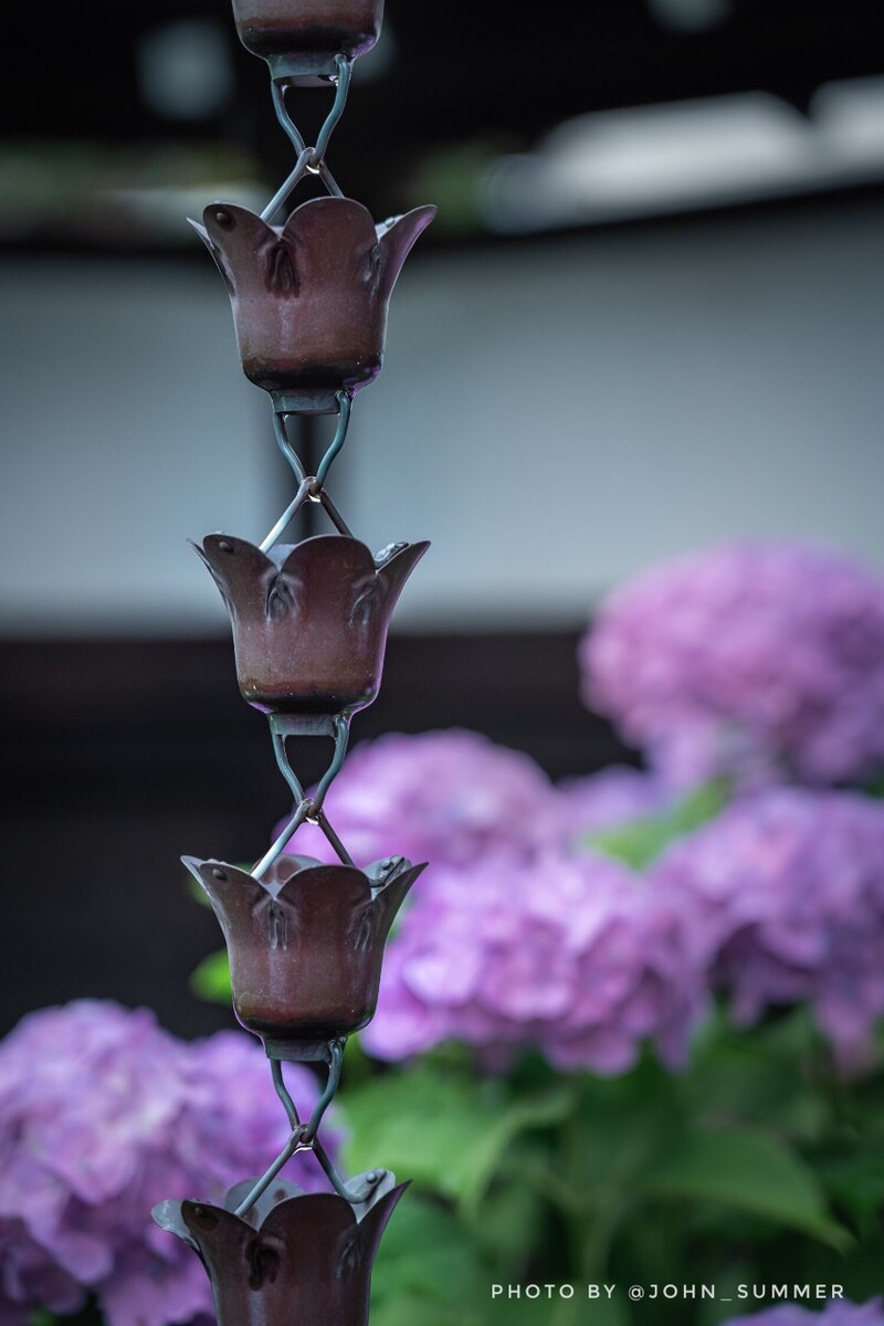 上海季节梅雨时间是几点_上海梅雨季节是什么时间_上海梅雨季节的时间