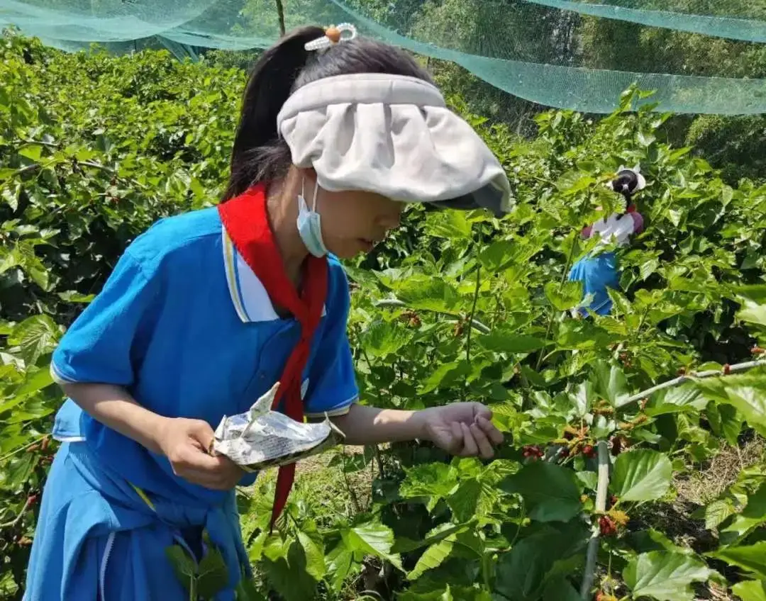 组装台式详细电脑过程图解_组装台式电脑的步骤_台式电脑组装详细过程