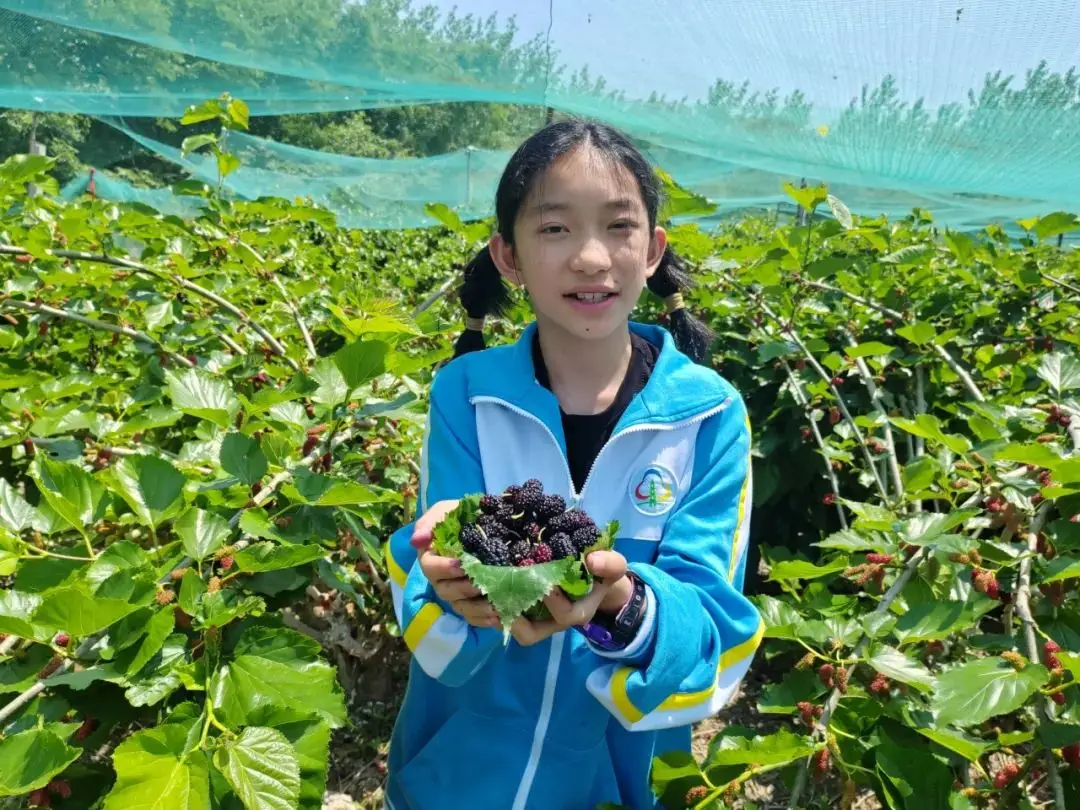 组装台式详细电脑过程图解_组装台式电脑的步骤_台式电脑组装详细过程