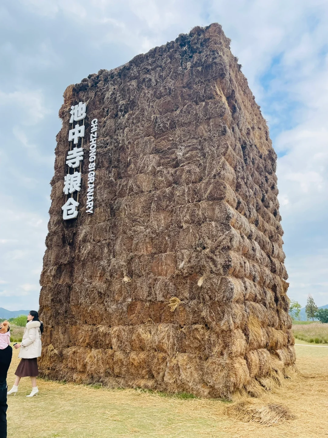 亚麻和麻沙的区别_麻亚里沙_麻沙是什么