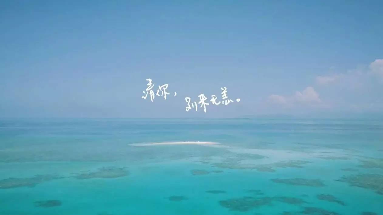 逆流沙工作室_逆流沙成员_逆流沙